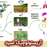 آریستولوچیک اسید