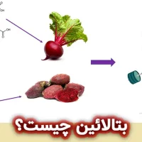 بتالائین چیست؟
