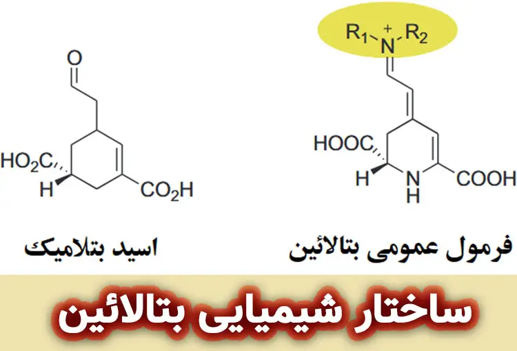 ساختار شیمیایی بتالائین