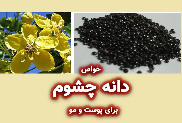 دانه چشوم