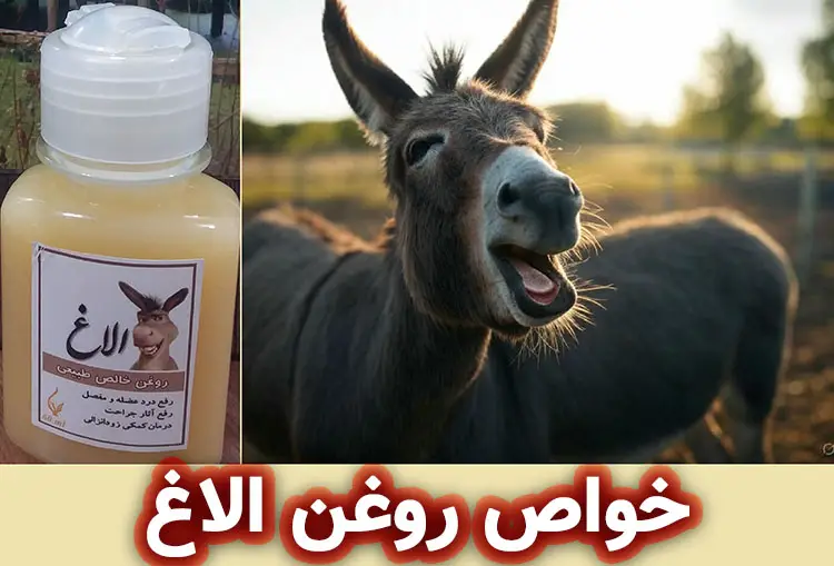 روغن الاغ چیست؟
