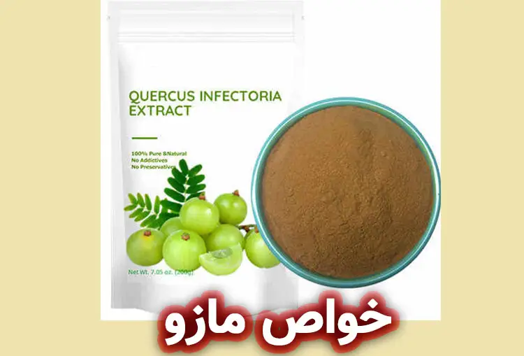 خواص مازو