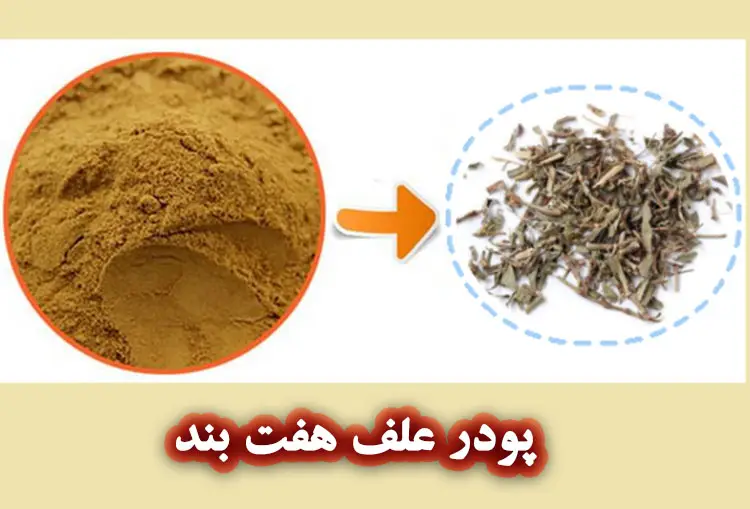 پودر خشک‌ شده علف هفت بند