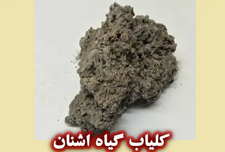 کلیاب گیاه اشنان