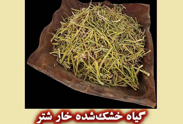 برگ، ساقه یا کل گیاه خشک‌ شده خارشتر
