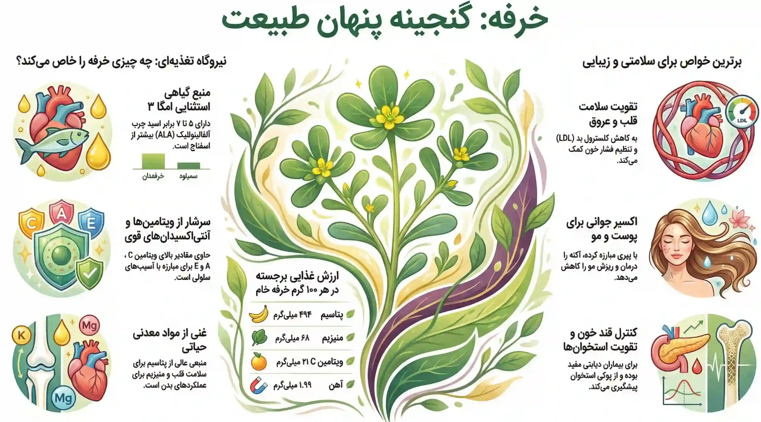 خواص و طبع گیاه خرفه برای پوست و مو