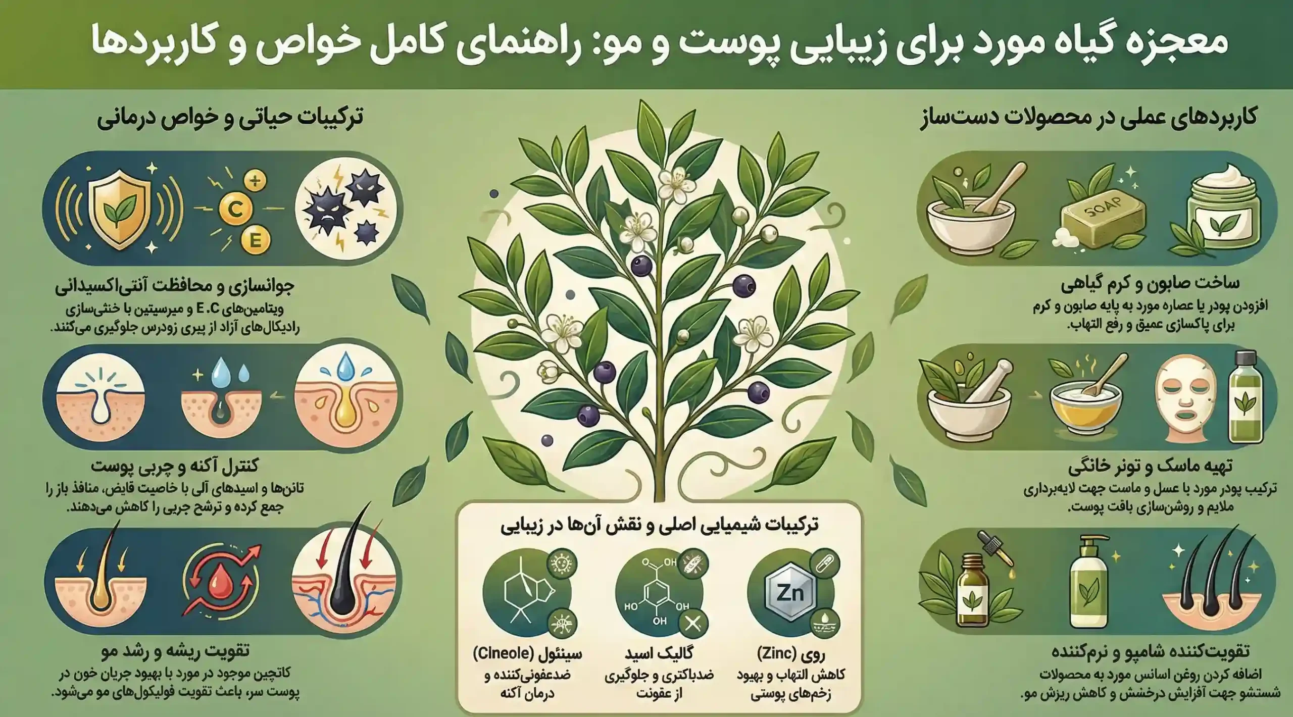 اینفوگرافیک خواص پودر مورد برای پوست صورت و مو