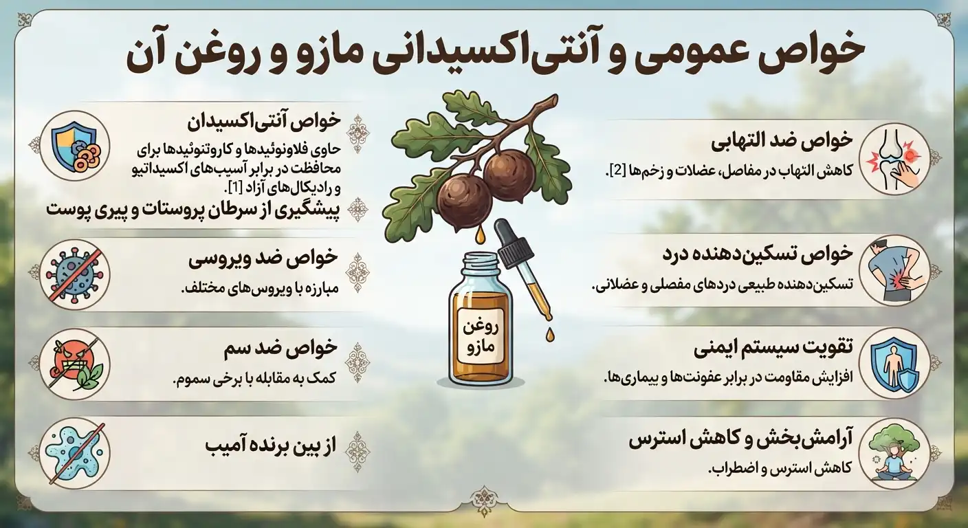 خواص عمومی و آنتیاکسیدانی مازو خواص عمومی و آنتیاکسیدانی مازو