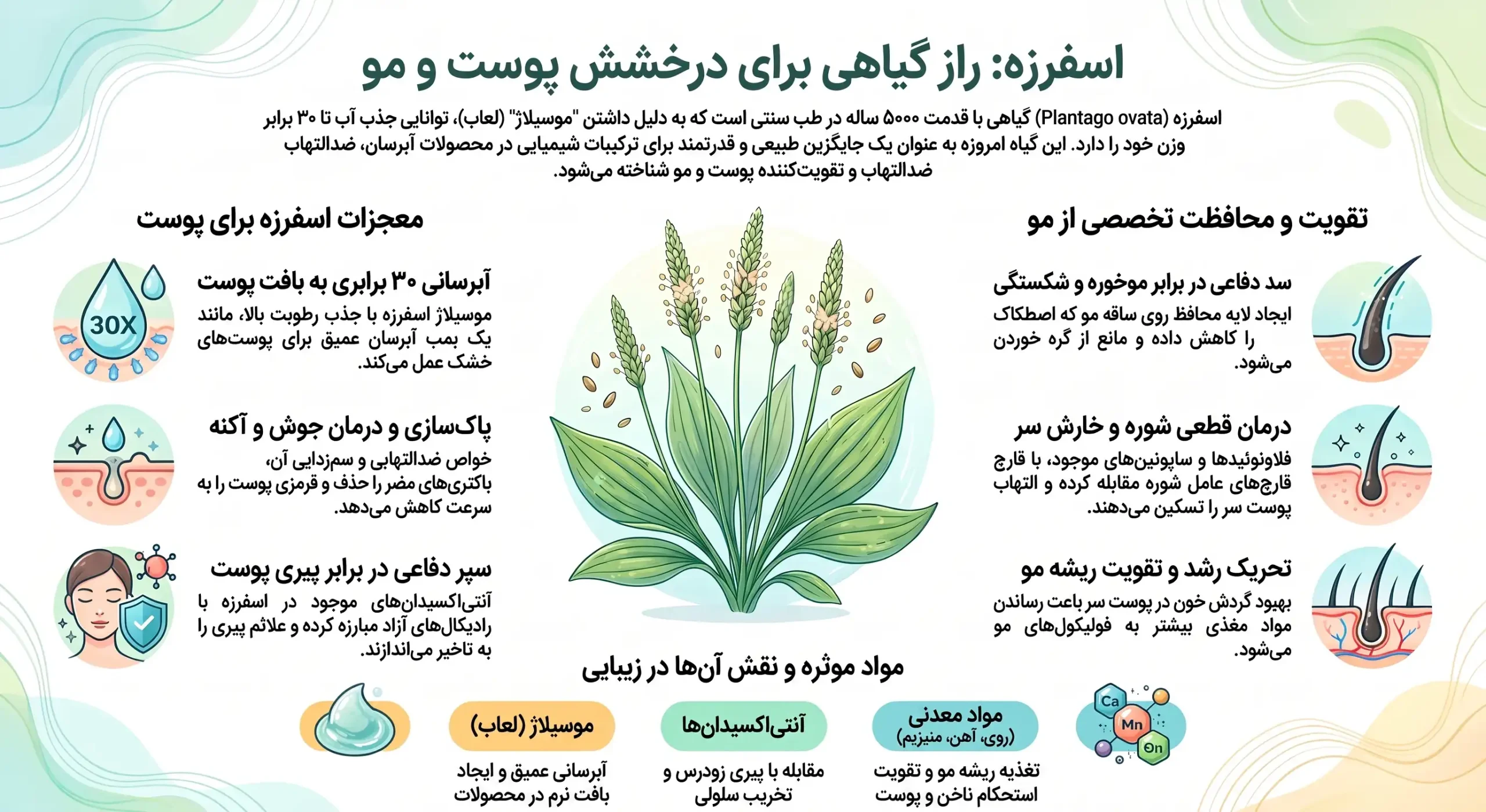 اینفوگرافیک خواص اسفرزه اینفوگرافیک خواص اسفرزه