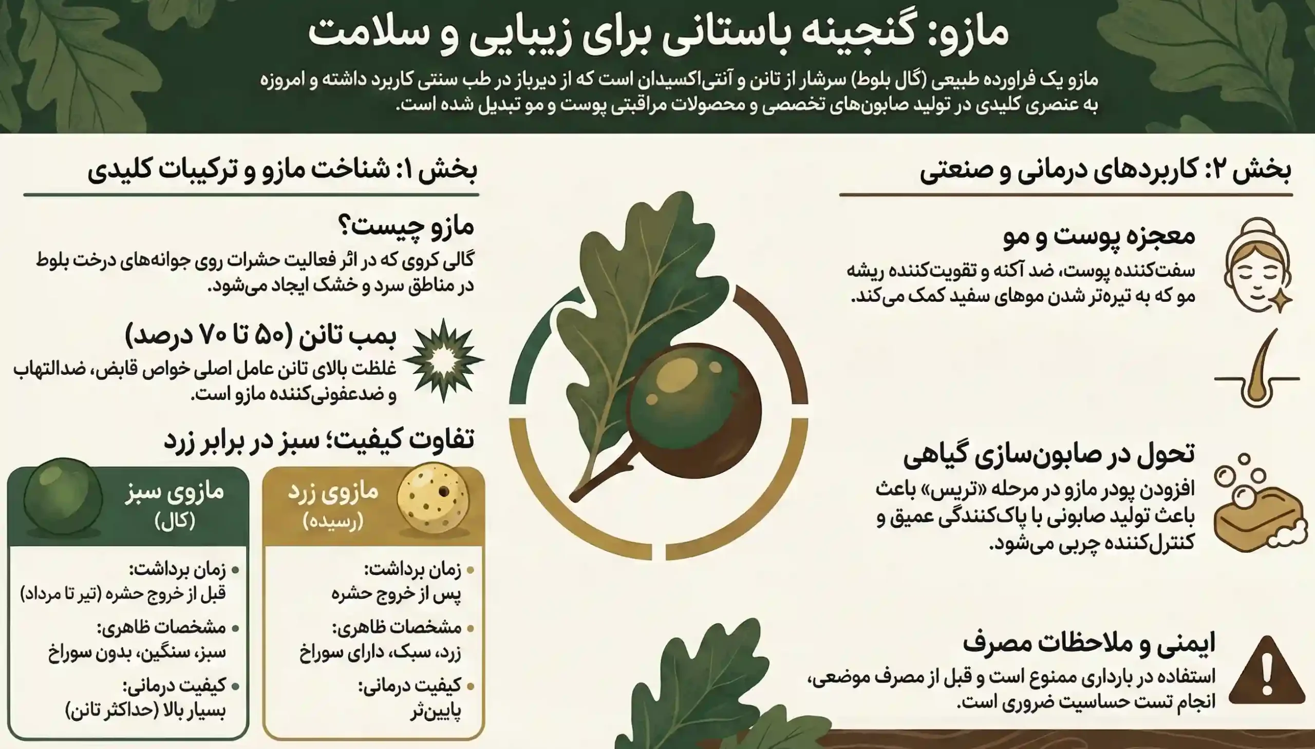 اینفوگرافیک خواص مازو