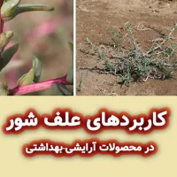 علف شور