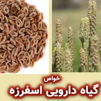 خواص گیاه دارویی اسفرزه برای پوست و مو