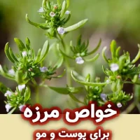 خواص مرزه برای پوست و مو