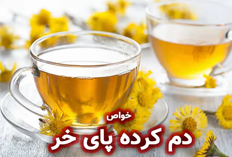 تهیه عصاره و دم‌ کرده پای خر