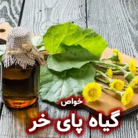 گیاه پای خر