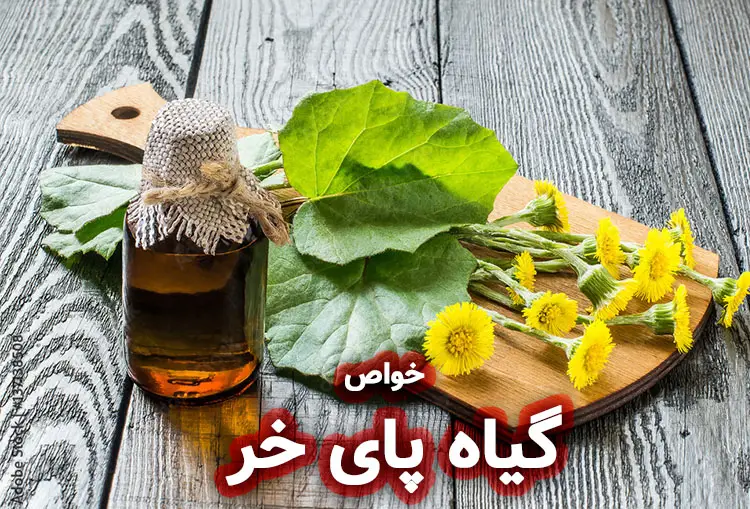 گیاه پای خر