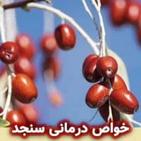 خواص سنجد در مراقبت از پوست و مو