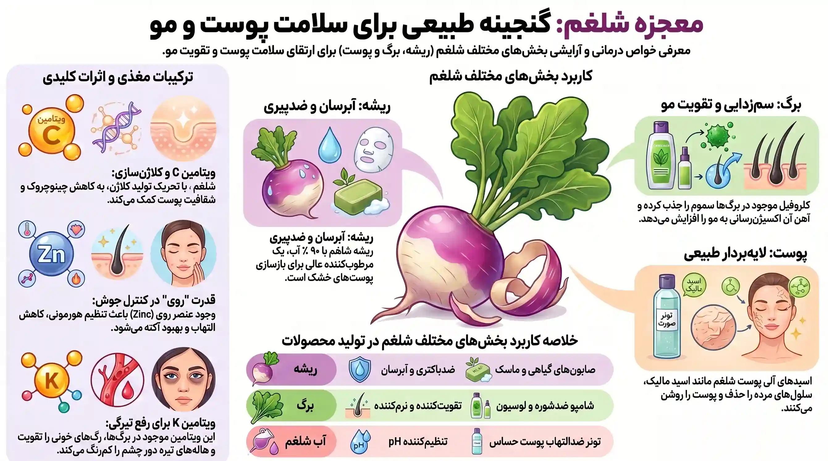 اینفوگرافیک خواص شلغم برای پوست و مو اینفوگرافیک خواص شلغم برای پوست و مو