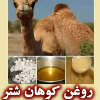 روغن کوهان شتر