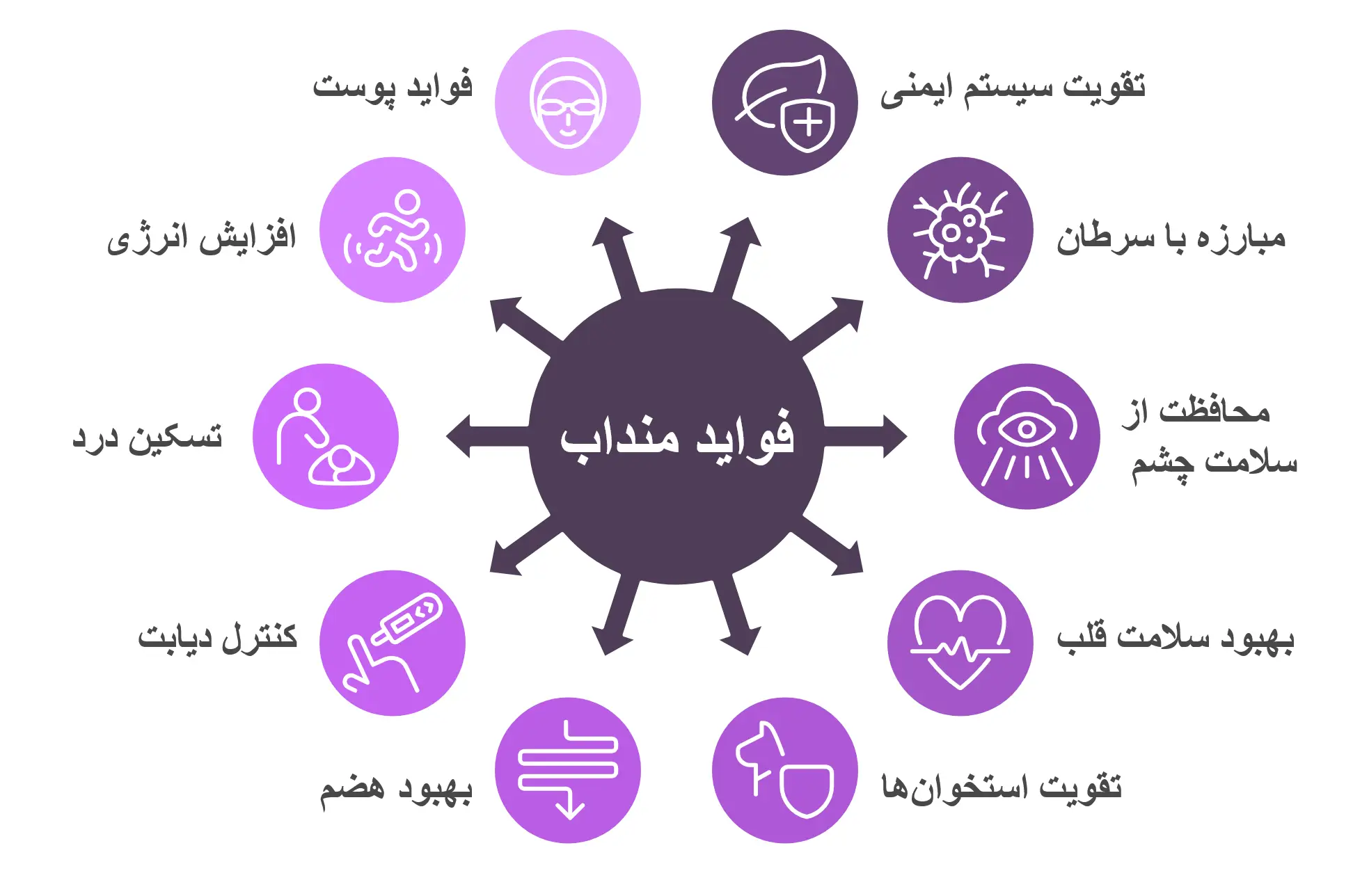 خواص و فواید گیاه و روغن منداب