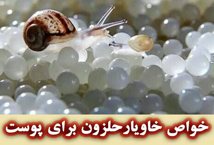 خواص خاویار حلزون برای پوست