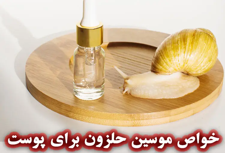 موسین حلزون چیست