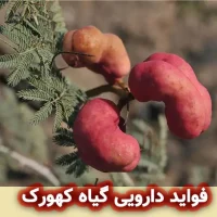 گیاه کهورک: فواید دارویی
