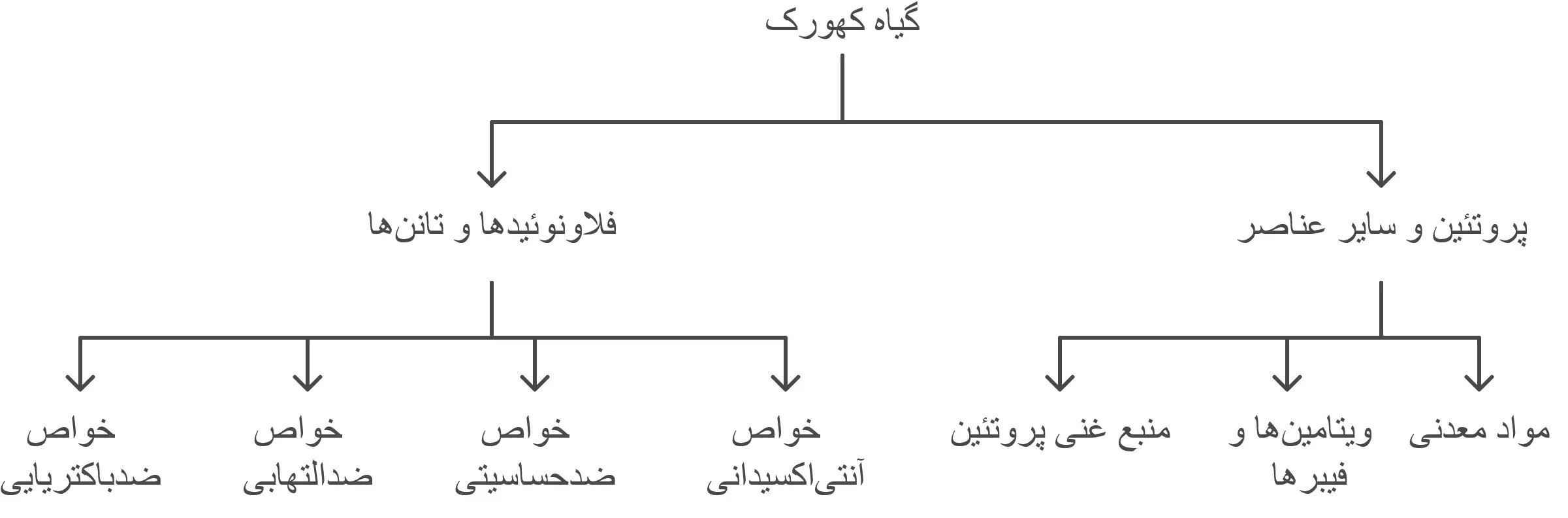 ترکیبات شیمیایی و مواد موثره کهورک