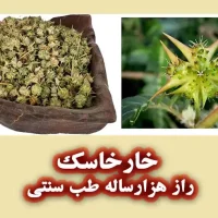 خارخاسک برای چی خوبه؟