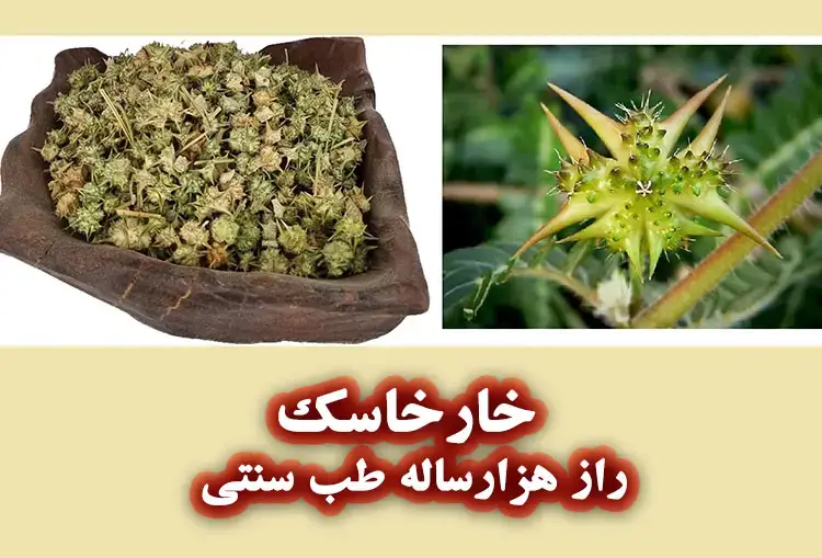 خارخاسک برای چی خوبه؟