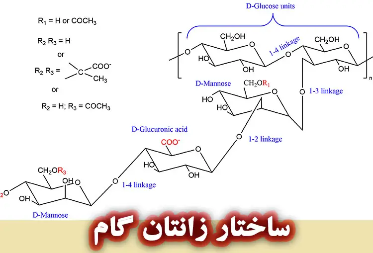 زانتان گام چیست؟