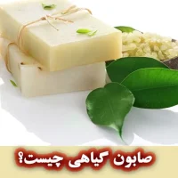 صابون گیاهی چیست و چه ویژگی هایی دارد؟ صابون گیاهی چیست و چه ویژگی هایی دارد؟