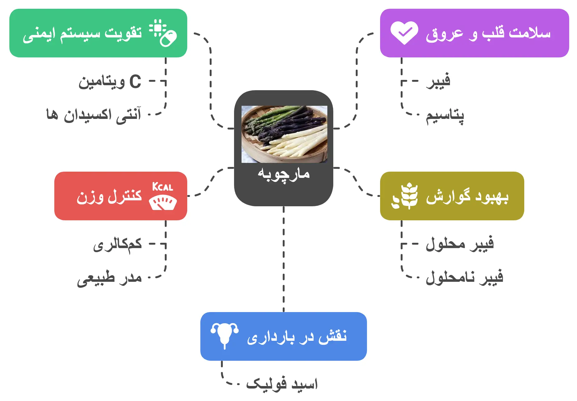 خواص عمومی و فواید درمانی مارچوبه