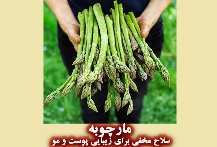مارچوبه، سلاح مخفی برای زیبایی پوست و مو