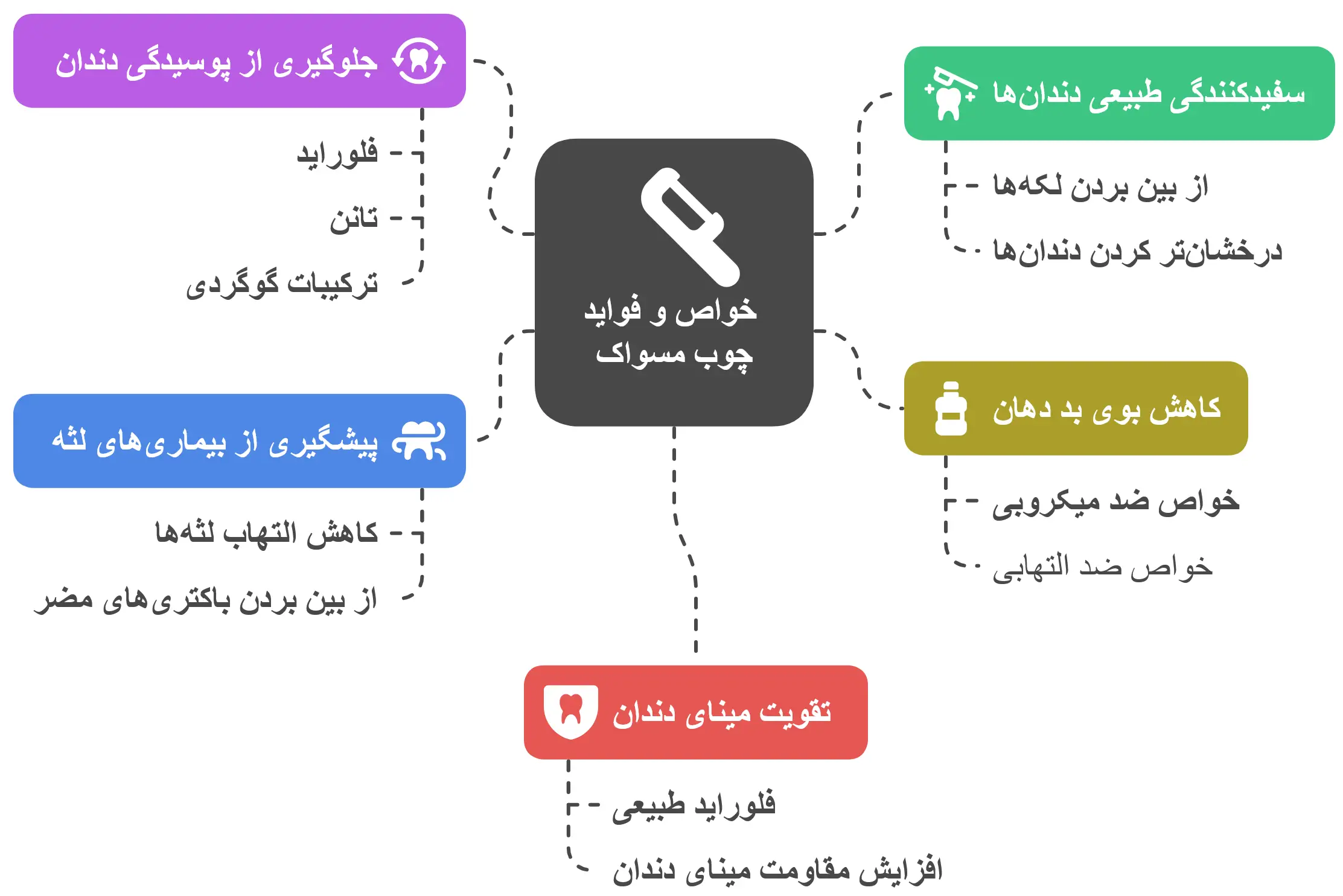 درخت مسواک برای بهداشت دهان و دندان