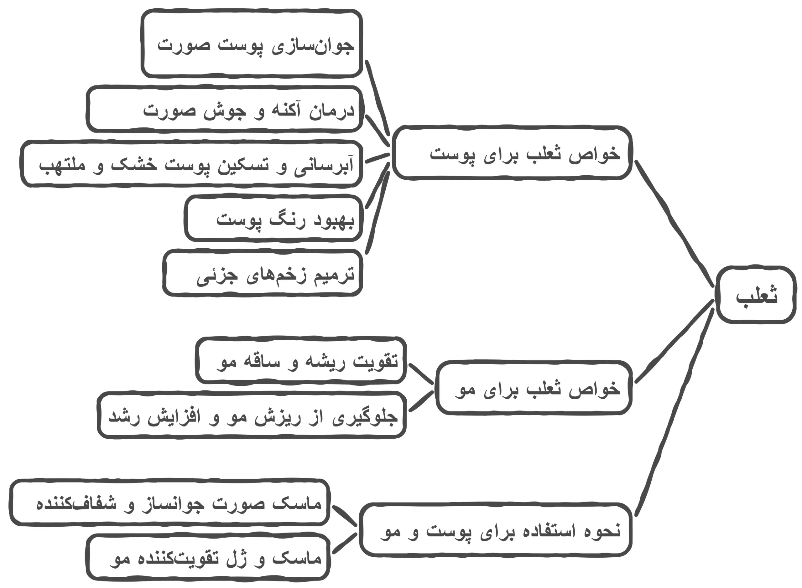 خواص و فواید ثعلب برای پوست و مو