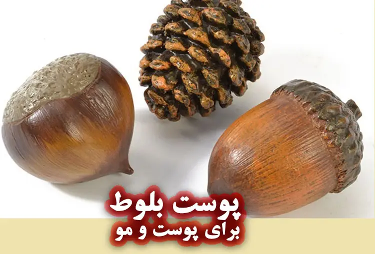 فواید پوست بلوط (جفت بلوط) برای پوست و مو