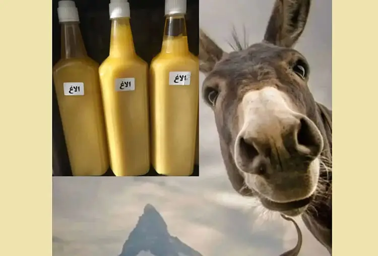 روغن الاغ چیست و چه کاربردهایی دارد؟