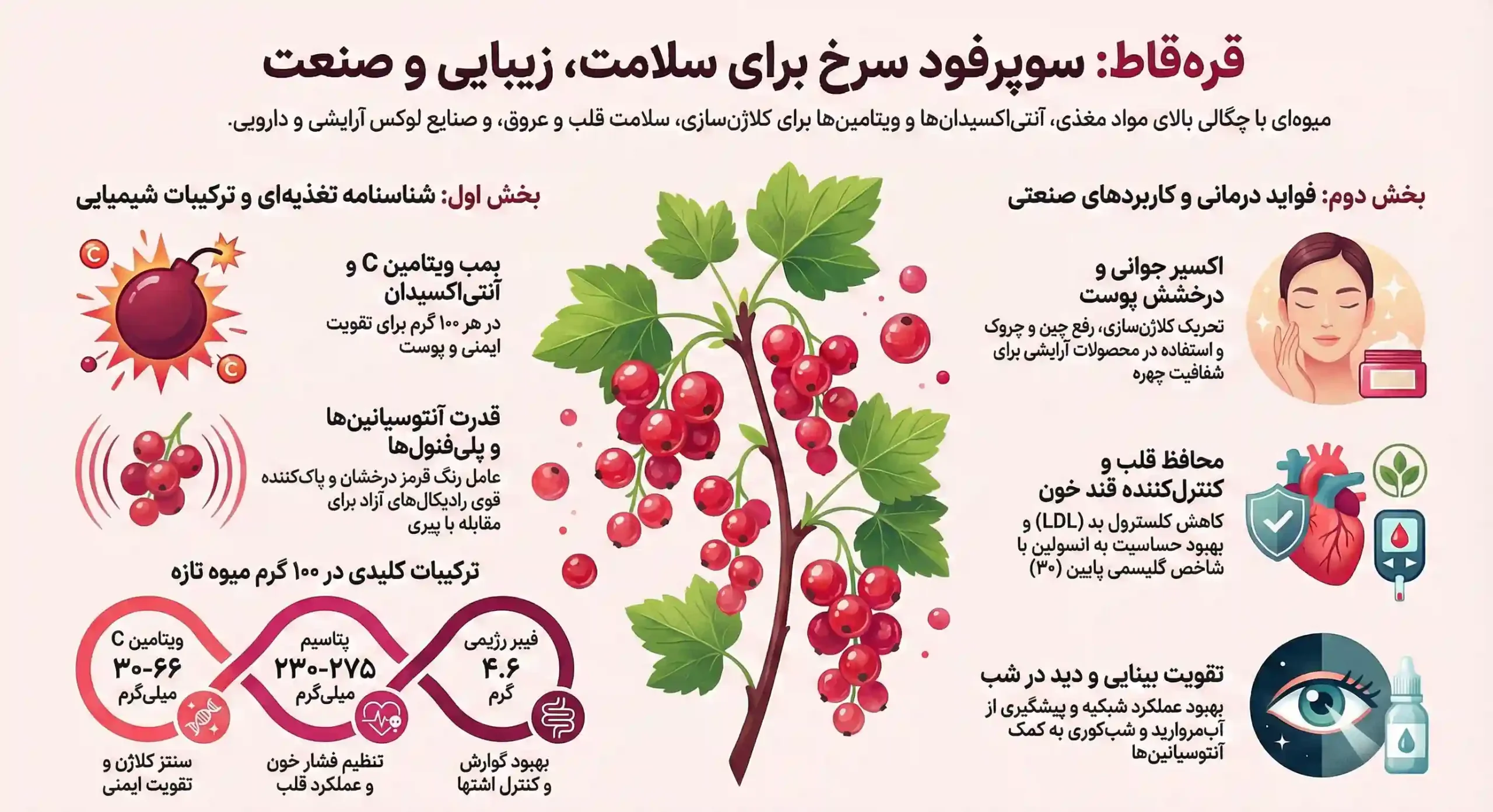 اینفوگرافیک کاربردهای قره‌ قاط