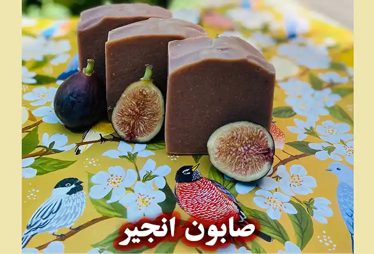 خواص صابون انجیر