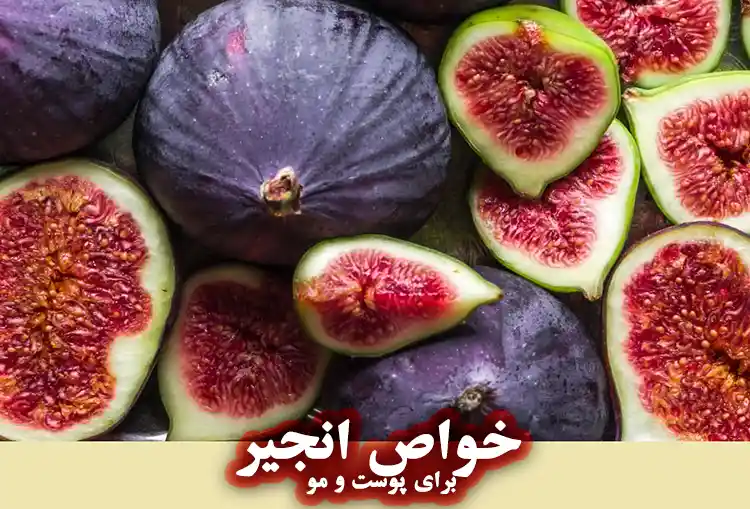 خواص انجیر برای پوست و مو چیست؟