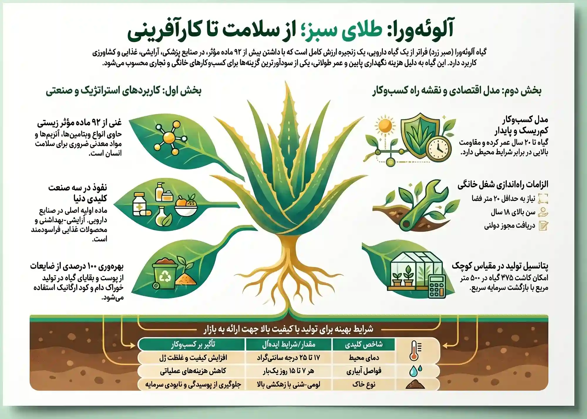 اینفوگرافیک کسب و کار خانگی تولید آلوئه‌ ورا